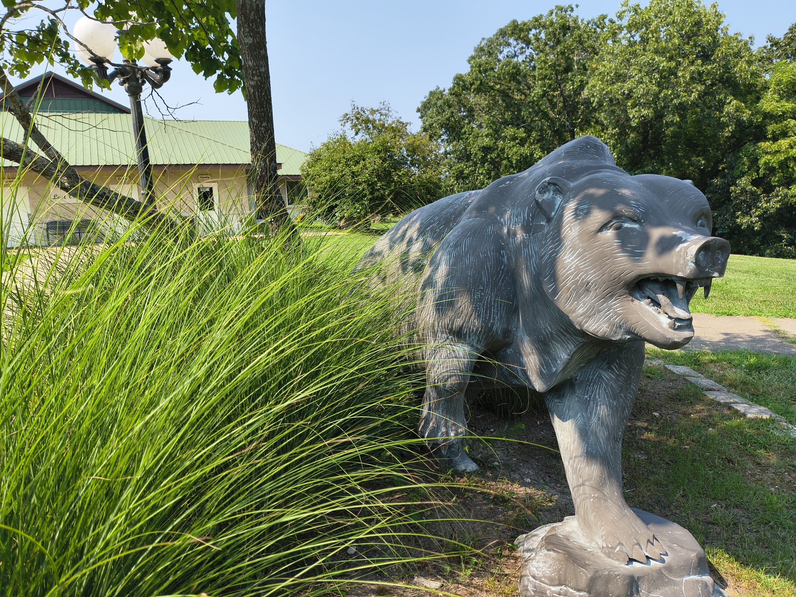 IMG_20260729_154120656_HDR